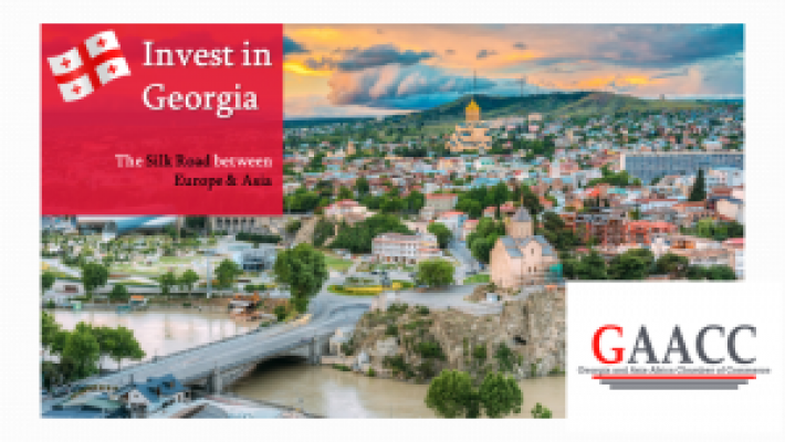 GAACC helps you to Invest in Georgia